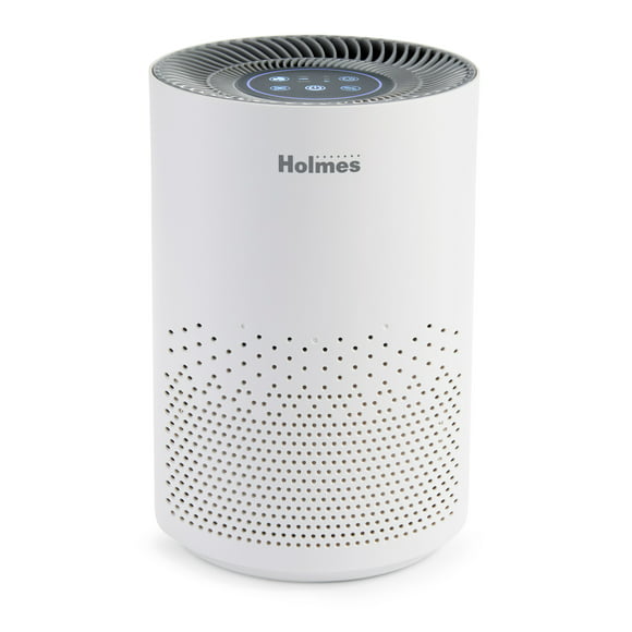 Holmes Small Room 3-Speed HEPA-Type Air Purifier with Optional Ionizer Black